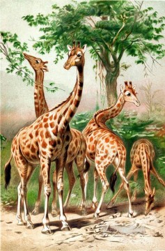 Girafe animale Peinture à l'huile